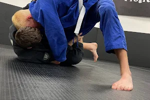 Stealth BJJ Cheshire image