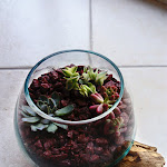 Photo n° 2 de l'avis de Fabienne.R fait le 10/05/2019 à 15:53 pour la rose d'or à Saint-Brevin-les-Pins