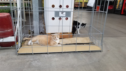 Home Improvement Store «The Home Depot», reviews and photos, 6160 W Behrend Dr, Glendale, AZ 85308, USA