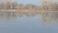 Parc naturel régional Loire-Anjou-Touraine du Restaurant Bateau Amarante à Montsoreau - n°5