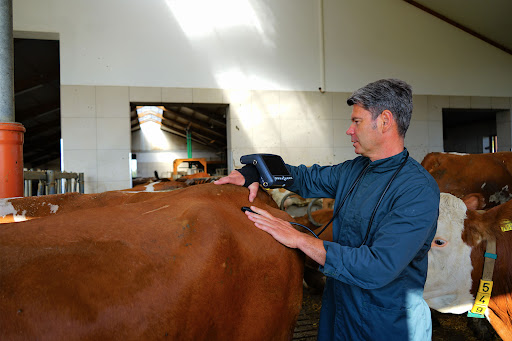 Tierarztpraxis Dr. Kruno Ilakovac unter Lengdorf, Bayern