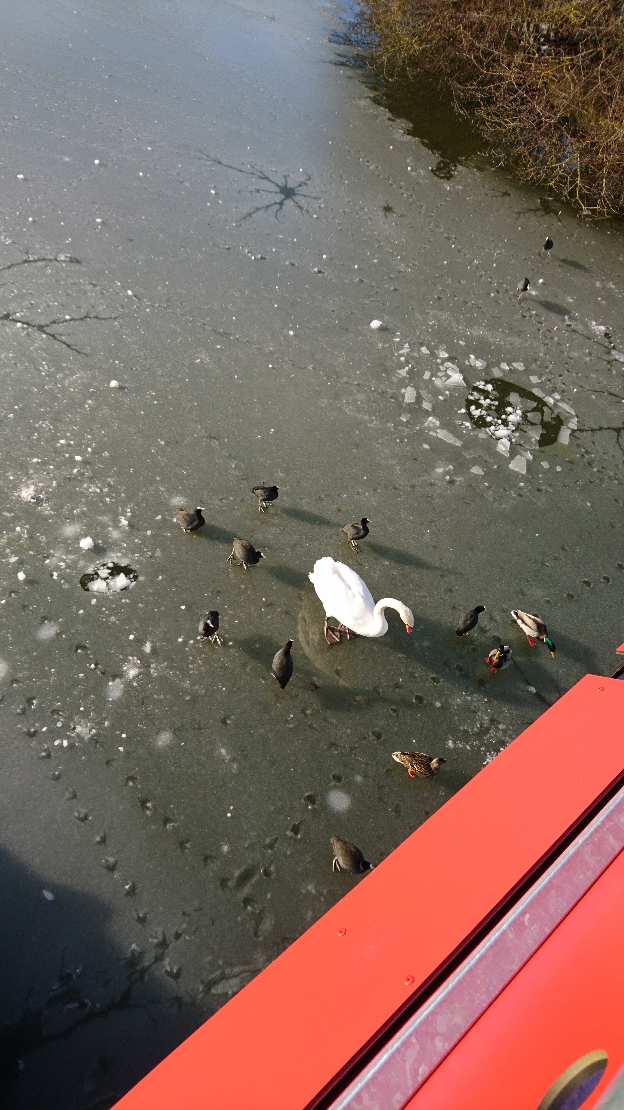 Photo n° 1 de l'avis de christine.l fait le 10/02/2018 à 16:23