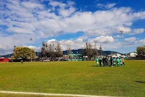 Estadio Municipal de Hualañé image