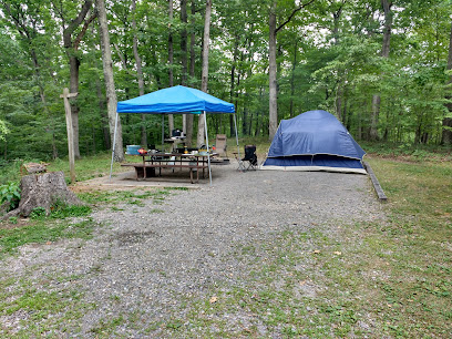 Campground Registration