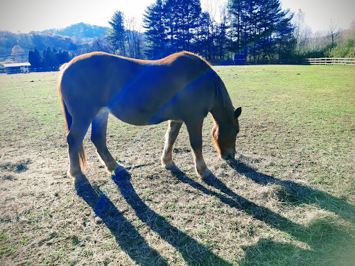 Wedding Venue «Hidden River Events», reviews and photos, 30 Hidden River Dr, Swannanoa, NC 28778, USA