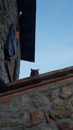 Photos des visiteurs Casa vacanza Podere I Casaloni La casa nel bosco 58036 Torniella