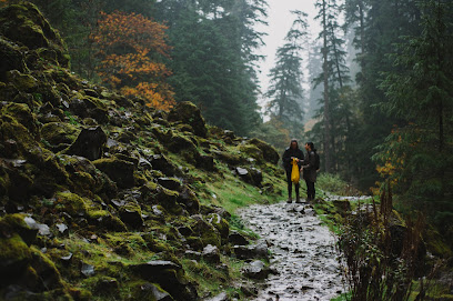 Wahclella Falls