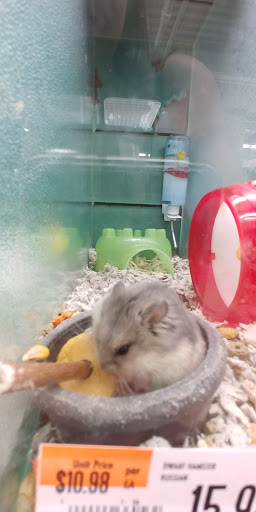 Pet Supply Store «Pet Supplies Plus», reviews and photos, 175 Memorial Ave, West Springfield, MA 01089, USA