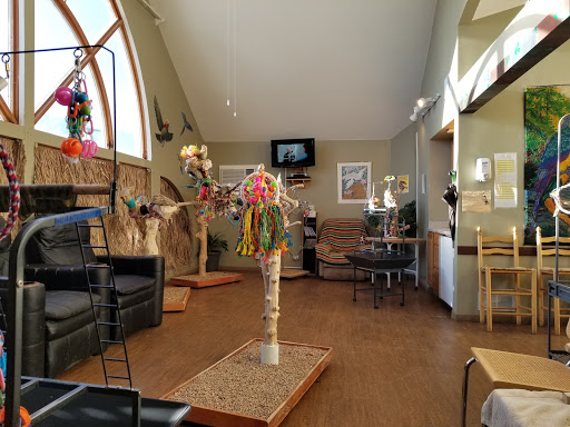 Bird Shop «Parrot & Bird Emporium Inc», reviews and photos, 360 N Westfield St, Feeding Hills, MA 01030, USA