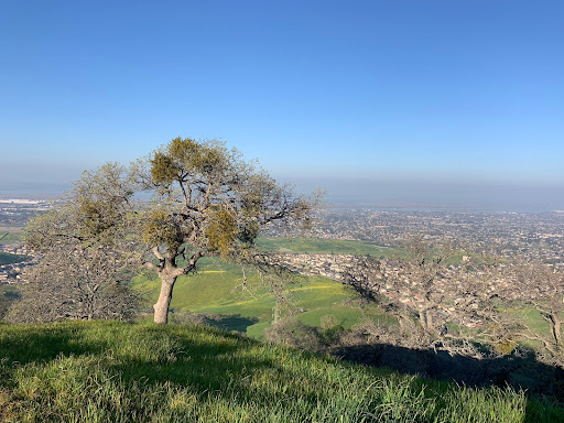 Park «Black Diamond Mines Regional Preserve», reviews and photos, 5175 Somersville Rd, Antioch, CA 94509, USA