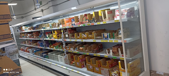 D1 Argelia - Sincelejo