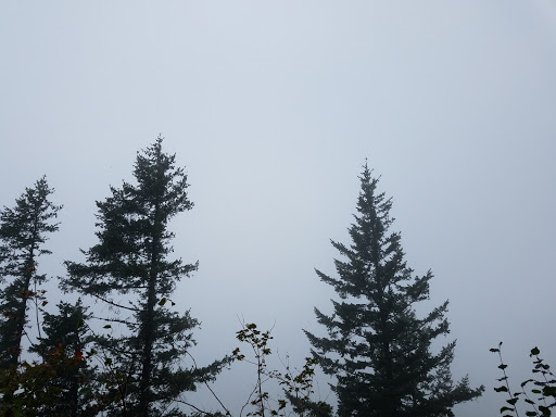 Waterfall «Latourell Falls», reviews and photos, Historic Columbia River Hwy, Corbett, OR 97019, USA