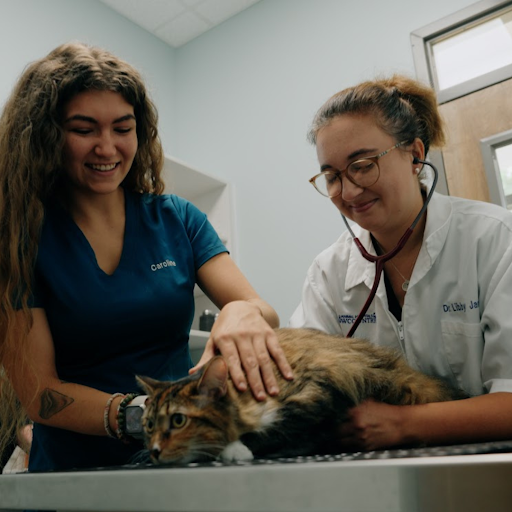 Safe Harbor Animal Hospital image