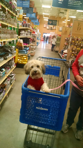 Pet Supply Store «PetSmart», reviews and photos, 2929 James Sanders Blvd f, Paducah, KY 42001, USA