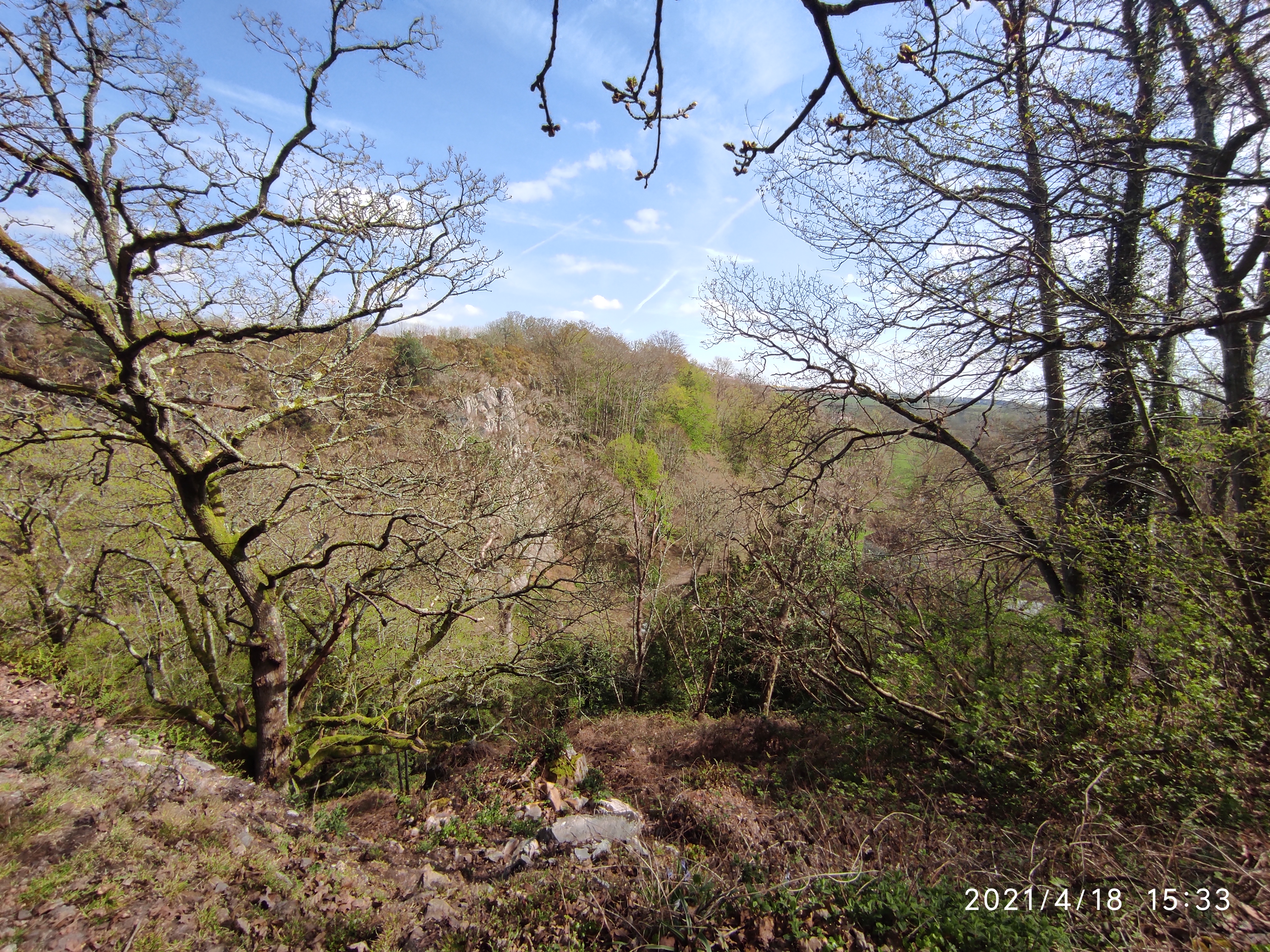 Photo n° 1 de l'avis de Benjamin.i fait le 18/04/2021 à 16:29
