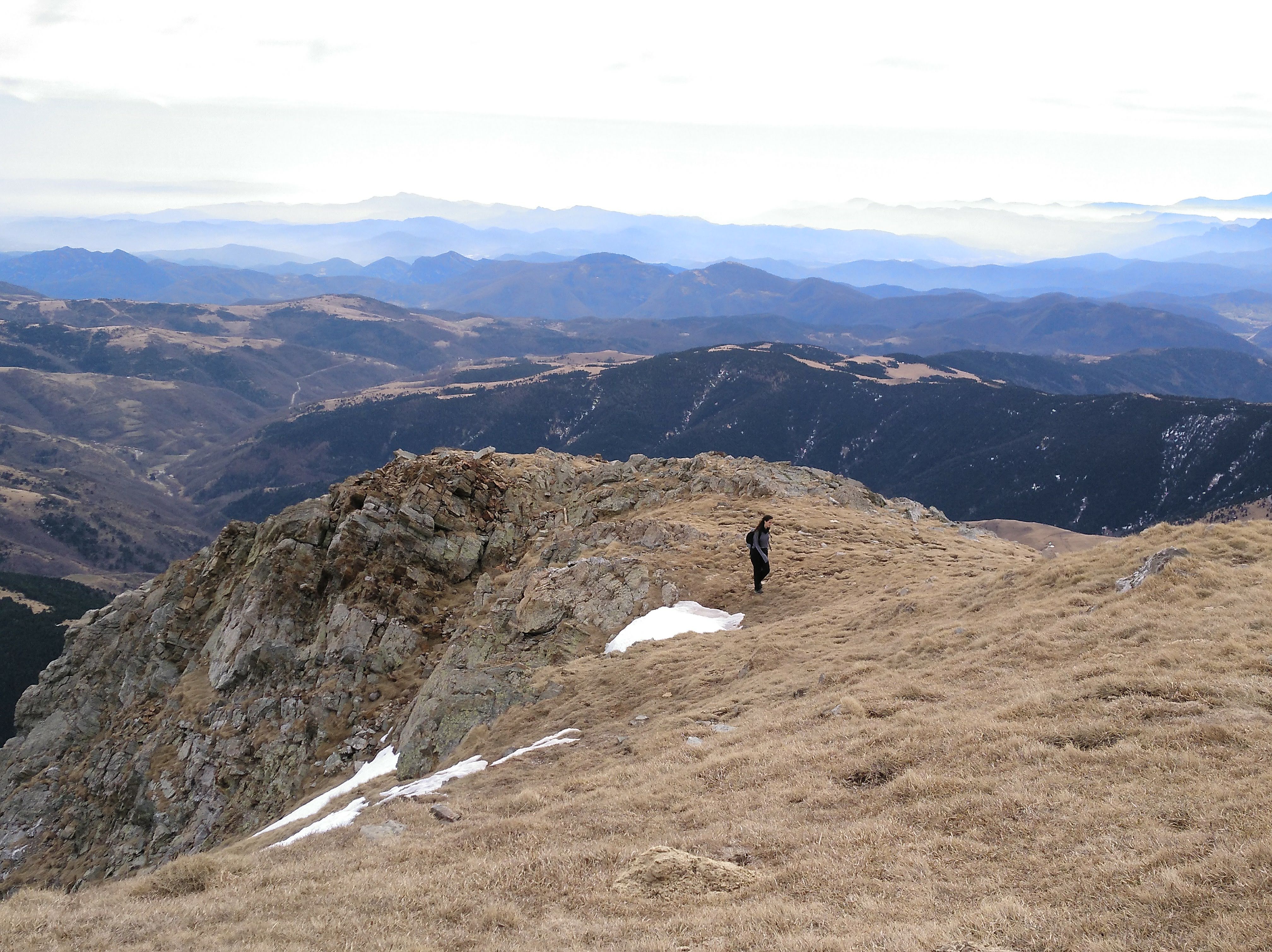 Photo n° 6 de l'avis de Pau. fait le 14/03/2019 à 12:45
