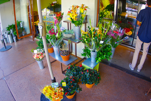 Florist «Open Air Flowers», reviews and photos, 1055 Osos St, San Luis Obispo, CA 93401, USA