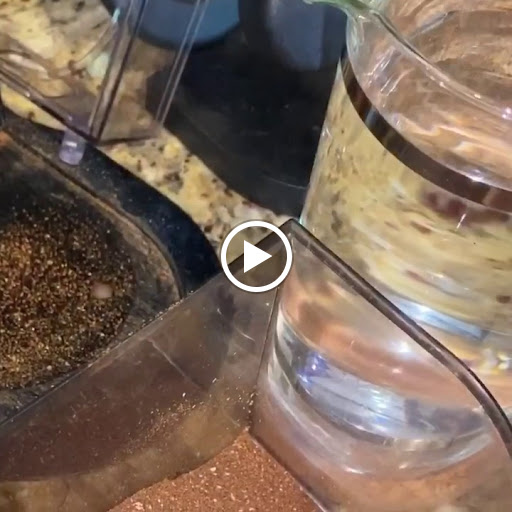 Coffee Shop «Mission Coffee Roasters Inc», reviews and photos, 11641 Ridgeline Dr, Colorado Springs, CO 80921, USA