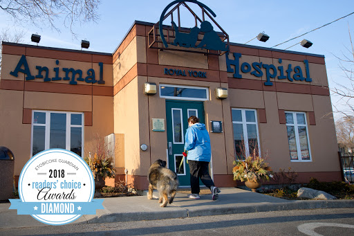 Royal York Animal Hospital