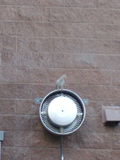 Social Services Organization «The Shade Tree», reviews and photos