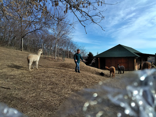 Boutique «Alpacas of the Heartland LLC», reviews and photos, 7016 County Rd 39, Fort Calhoun, NE 68023, USA