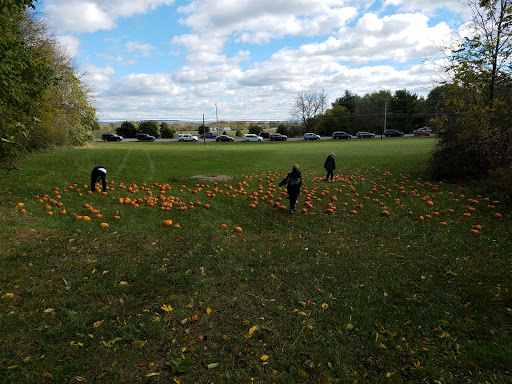 Event Planner «The Family Drive in Theatre», reviews and photos, 5890 Valley Pike, Stephens City, VA 22655, USA