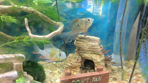 Pet Supply Store «PetSmart», reviews and photos, 4300 E Alameda Ave, Glendale, CO 80246, USA