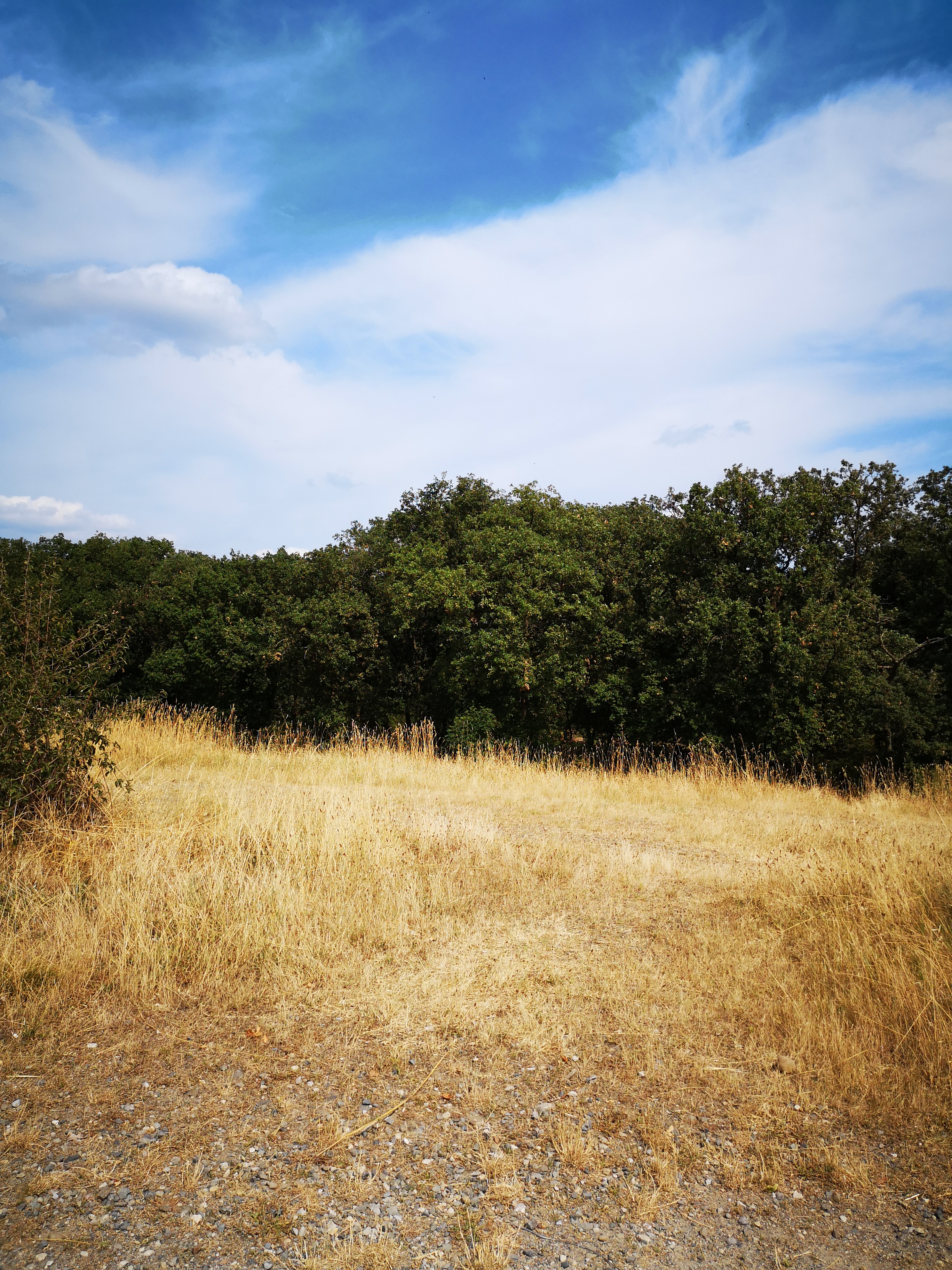 Photo n° 2 de l'avis de Nelly.n fait le 18/07/2019 à 08:28