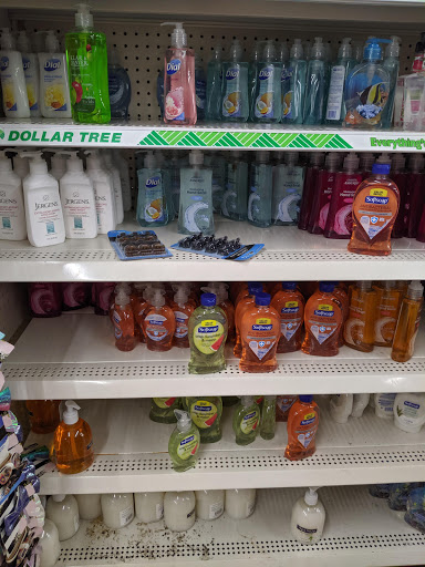 Dollar Store «Dollar Tree», reviews and photos, 3223 Lincoln Hwy, Thorndale, PA 19372, USA