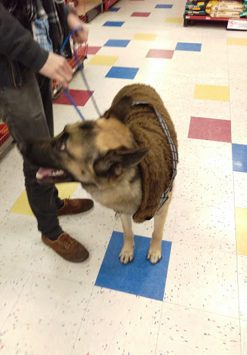 Pet Supply Store «Petco Animal Supplies», reviews and photos, 1591 Sloat Blvd, San Francisco, CA 94132, USA