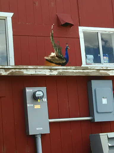 Zoo «Sierra Safari Zoo», reviews and photos, 10200 N Virginia St, Reno, NV 89506, USA