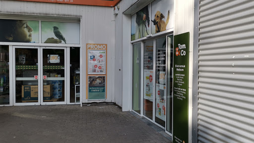 Rabbit shops in Brussels