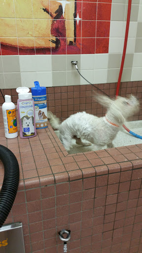 Pet Supply Store «Pet Food Express», reviews and photos, 9153 W Olympic Blvd, Beverly Hills, CA 90212, USA