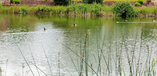 Golf Course «Gleneagle Golf Course», reviews and photos, 7619 E Country Club Dr, Arlington, WA 98223, USA