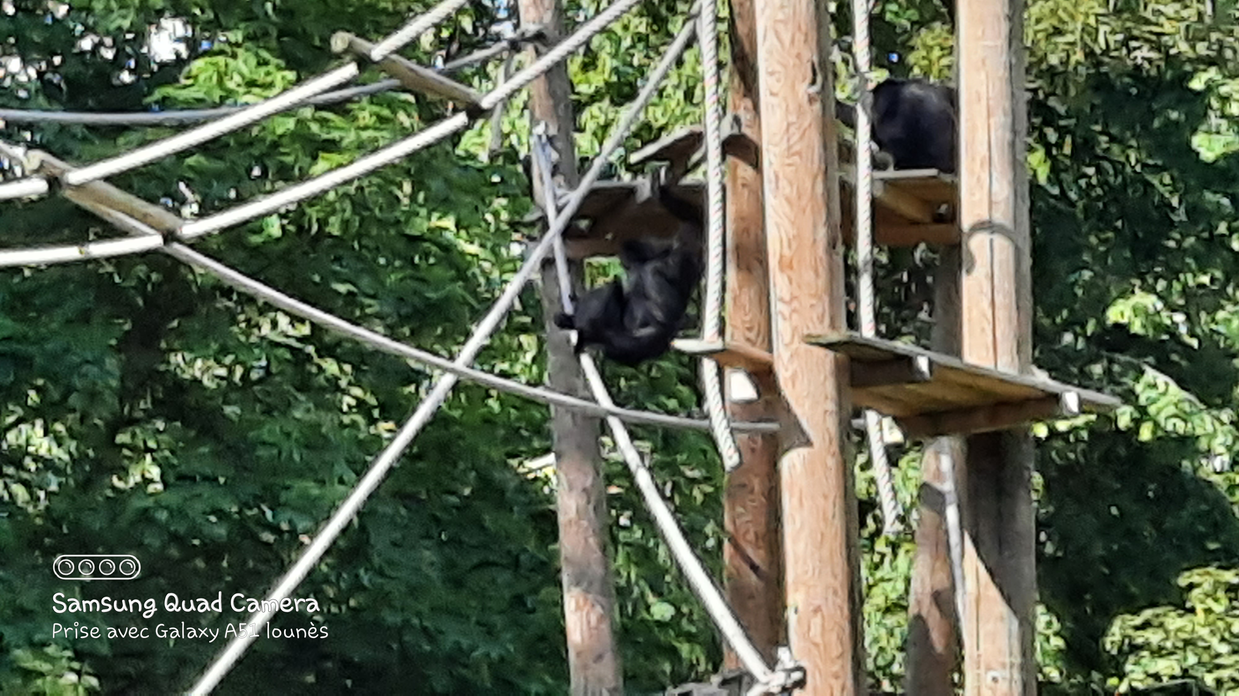 Photo n° 21 de l'avis de Lounes. fait le 02/06/2021 à 21:26