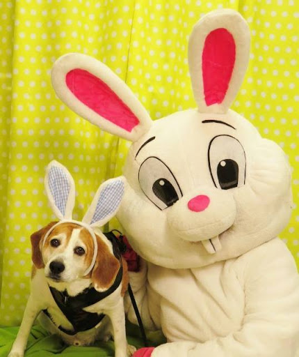 Pet Supply Store «The Feed Barn at Mahopac», reviews and photos, 166 US-6, Mahopac, NY 10541, USA