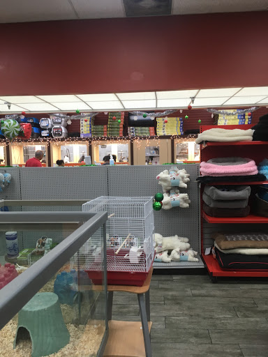 Pet Store «Petland South Orlando», reviews and photos, 3920 S Semoran Blvd, Orlando, FL 32822, USA