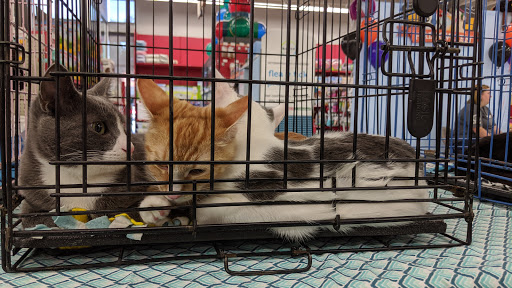 Pet Supply Store «Petco Animal Supplies», reviews and photos, 1370 Holiday Ln a, Fairfield, CA 94533, USA