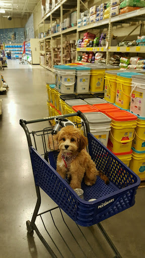 Pet Supply Store «PetSmart», reviews and photos, 6807 W Canal Dr, Kennewick, WA 99336, USA