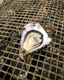 Photo n°13 de Maison Quintin - Boutique et Expédition à Saint-Philibert ()