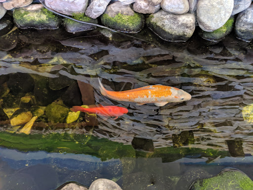 Liquor Store «Premier Group - Premium Wine & Spirits», reviews and photos, 7980 Transit Rd, Buffalo, NY 14221, USA