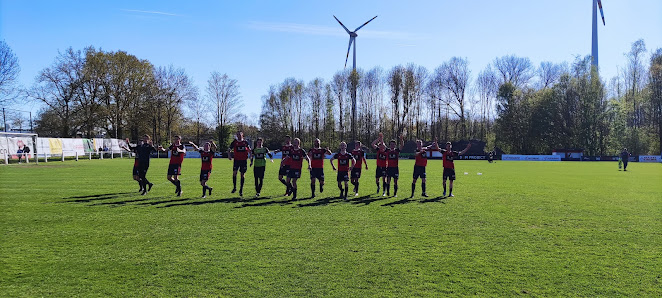 F.C. Torpedo Generaal Lemanstraat, 3500 Hasselt, Belgique