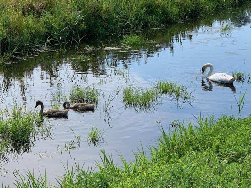 Golf Club «The Creek Club», reviews and photos, 1 Horse Hollow Rd, Locust Valley, NY 11560, USA