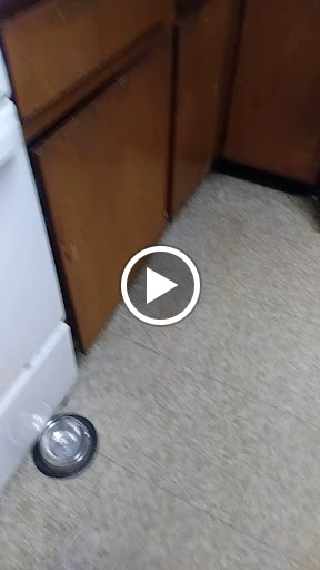 Supermarket «ALDI», reviews and photos, 6 Van Dyke Ave, New Brunswick, NJ 08901, USA