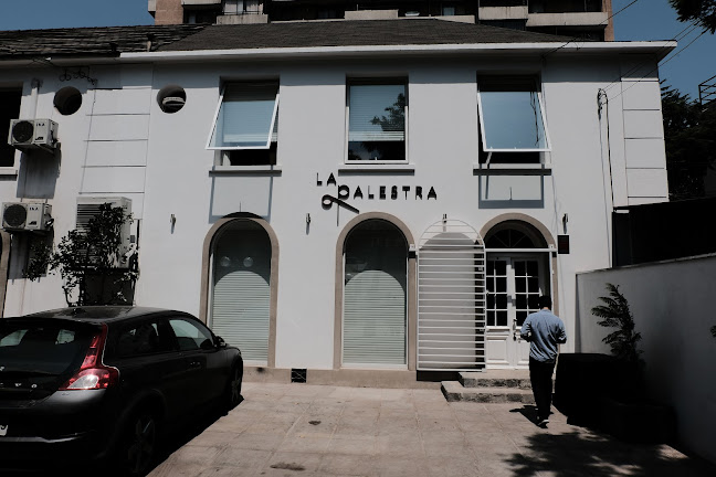 Opiniones de La Palestra Studio en Providencia - Centro de estética