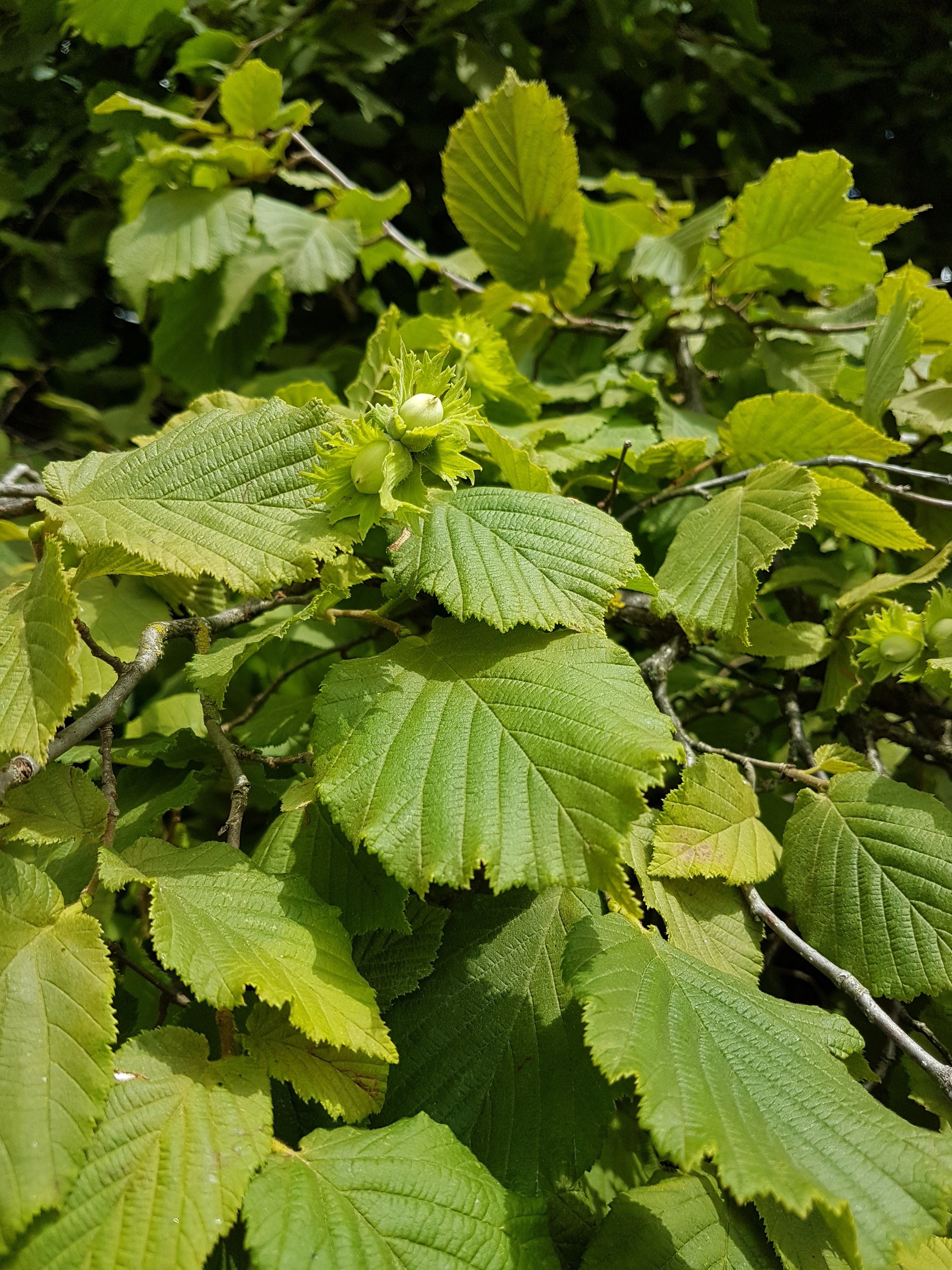 Photo n° 4 de l'avis de Amicie.e fait le 17/06/2020 à 14:41