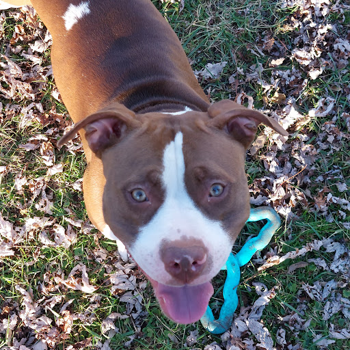 Pet Supply Store «Petco Animal Supplies», reviews and photos, 200 McMahan Blvd, Marion, OH 43302, USA