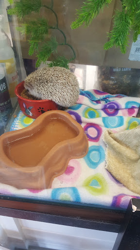 Pet Store «Market Street PET DEPOT», reviews and photos, 2979 S Market St, Gilbert, AZ 85295, USA