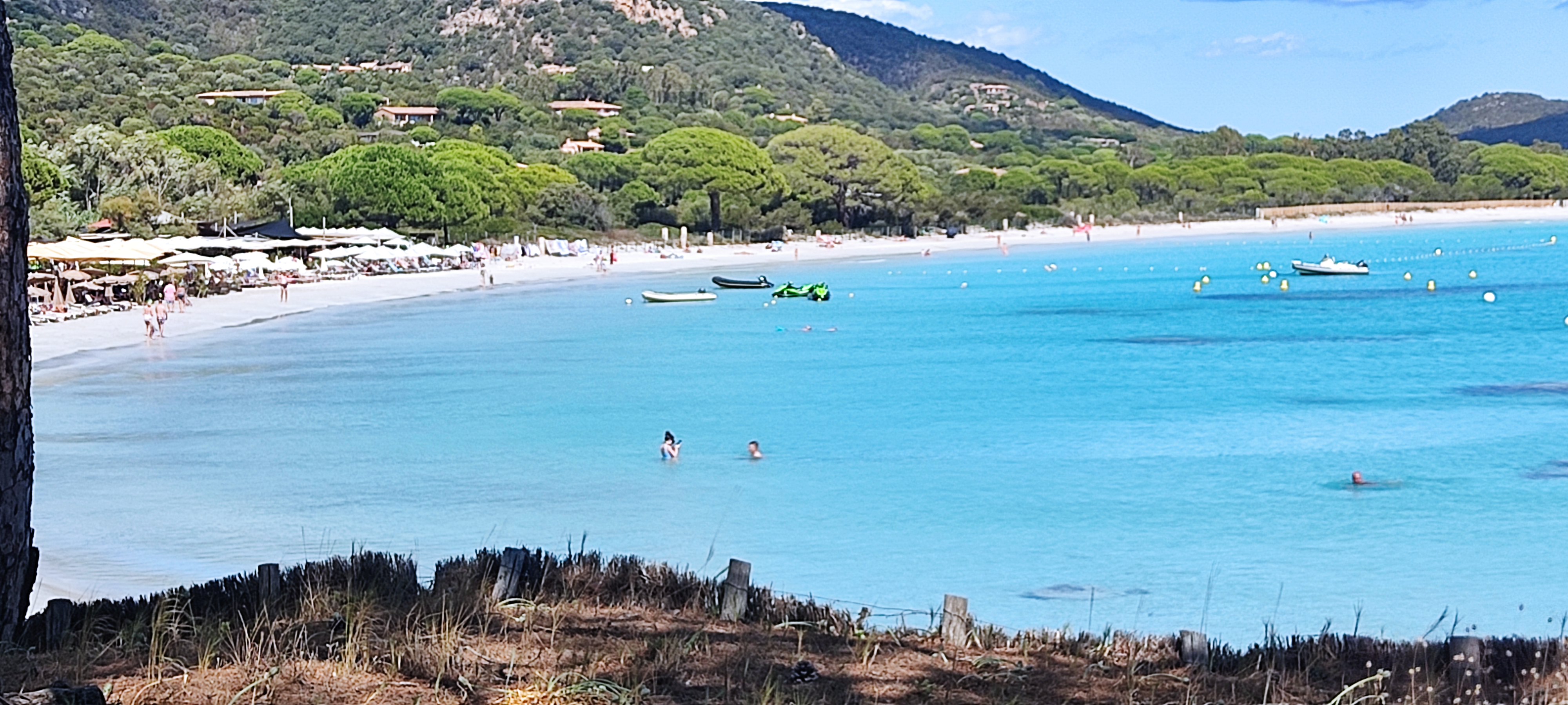 Photo n° 5 de l'avis de Nicolas.e fait le 19/09/2021 à 12:47