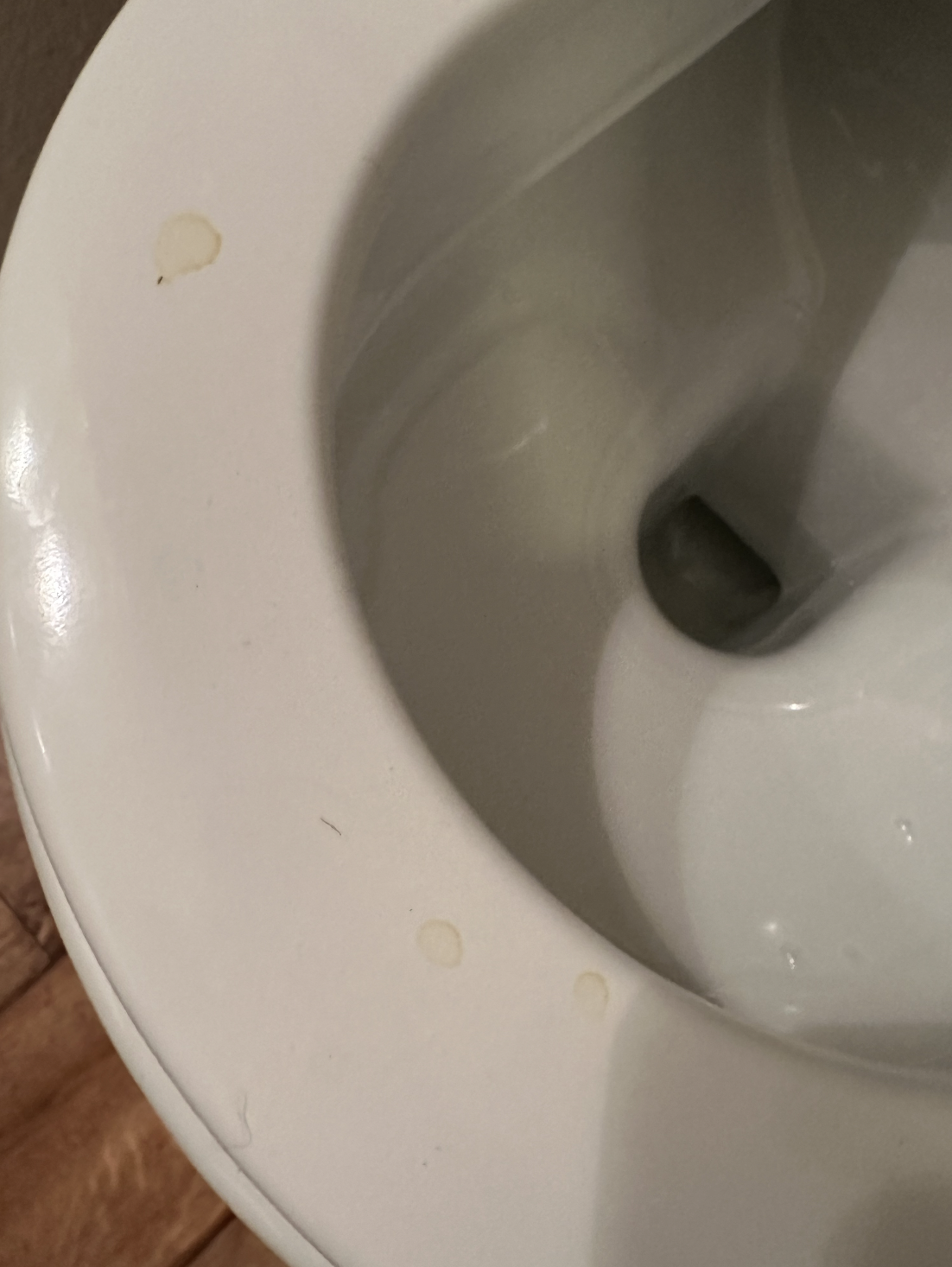 Photo n° 4 de l'avis de Rémy. fait le 15/03/2024 à 15:11